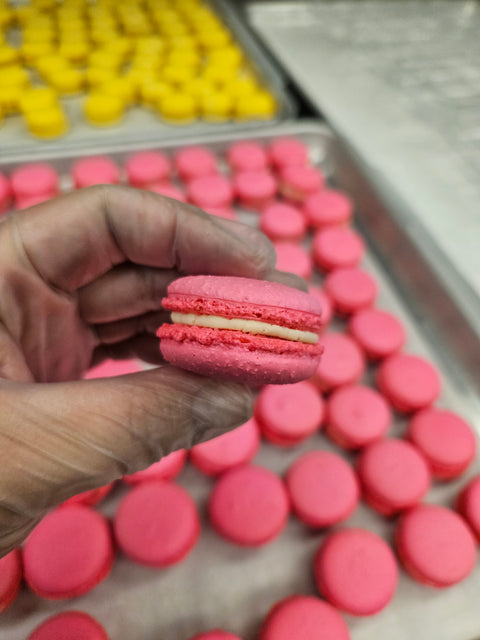 French Macaron Holiday Pack (6pk)