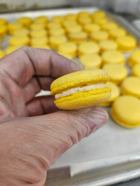 French Macaron Holiday Pack (6pk)