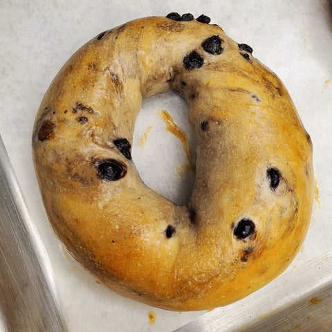 Blueberry Bagel