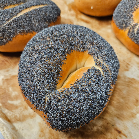 Poppy Seed Bagel