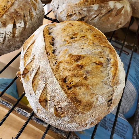 Walnut Sourdough
