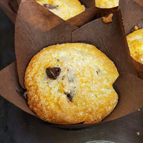 Chocolate Chip Muffin