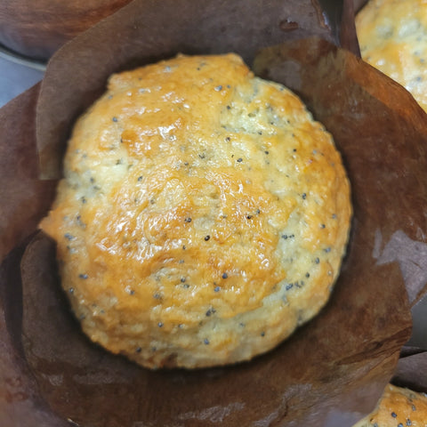 Lemon Poppy Seed Muffin