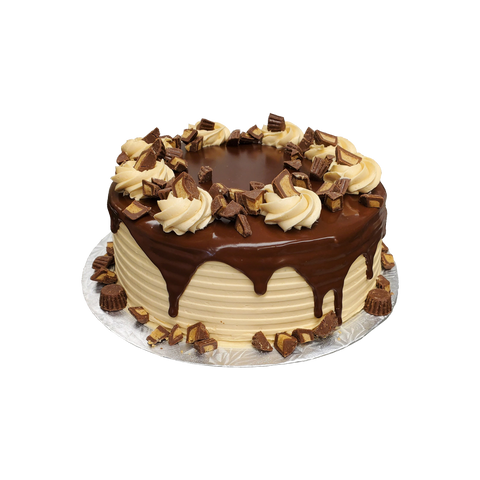 Chocolate Peanut Butter Cake